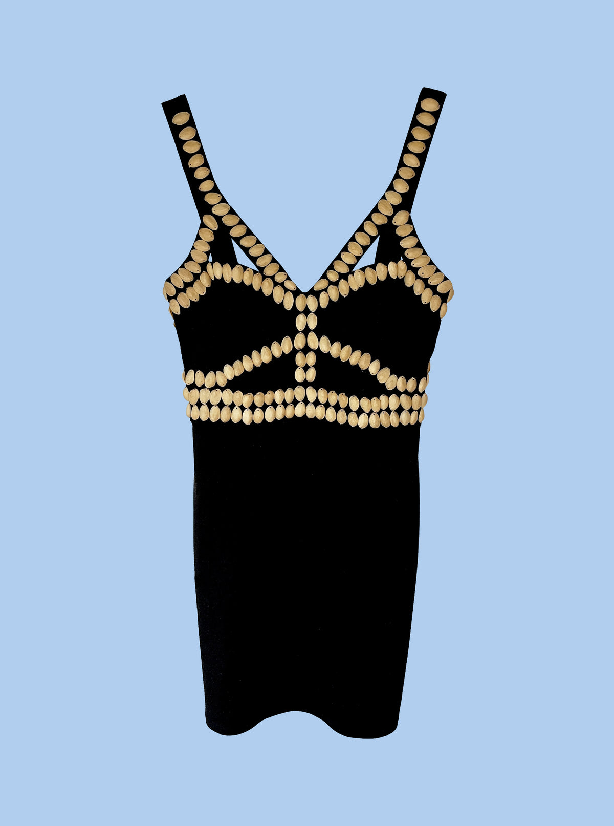 Black dress with embroidered pistachio shells on a blue background