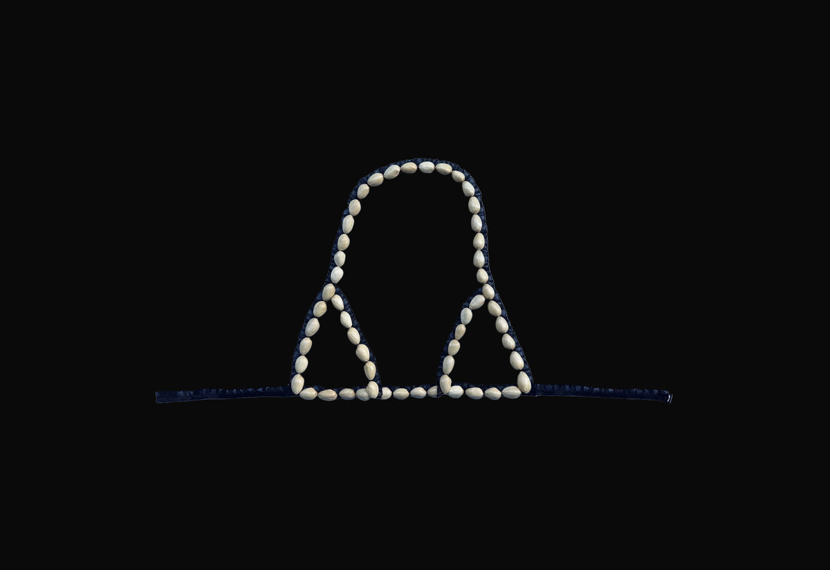 Pistachio shell bra on a blue background