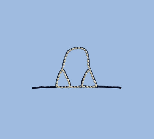 Pistachio shell bra on blue background